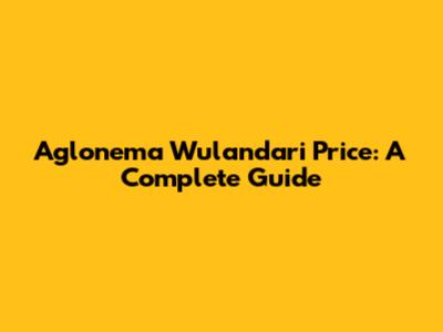 Aglonema Wulandari Price: A Complete Guide