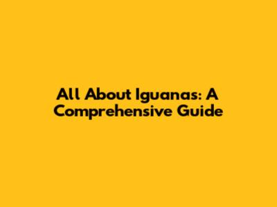 All About Iguanas: A Comprehensive Guide