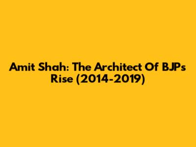 Amit Shah: The Architect Of BJP's Rise (2014-2019)