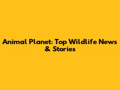 Animal Planet: Top Wildlife News & Stories
