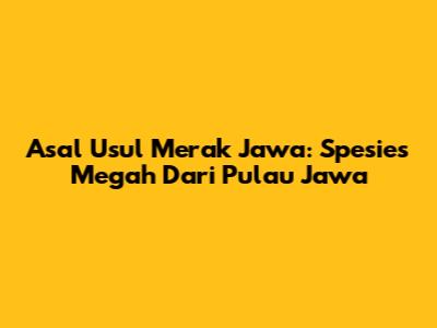 Asal Usul Merak Jawa: Spesies Megah Dari Pulau Jawa