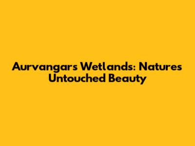Aurvangar's Wetlands: Nature's Untouched Beauty