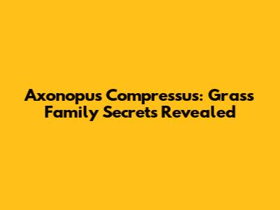 Axonopus Compressus: Grass Family Secrets Revealed