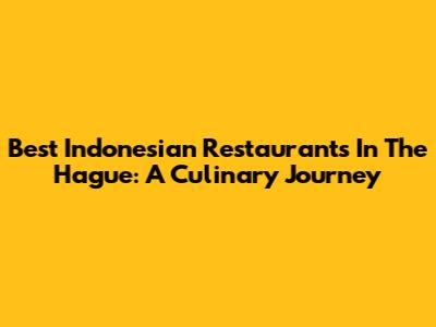 Best Indonesian Restaurants In The Hague: A Culinary Journey