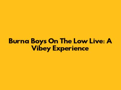 Burna Boy's "On The Low" Live: A Vibey Experience