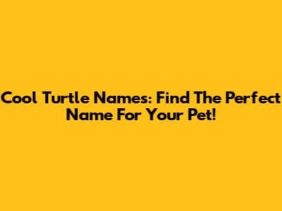 Cool Turtle Names: Find The Perfect Name For Your Pet!