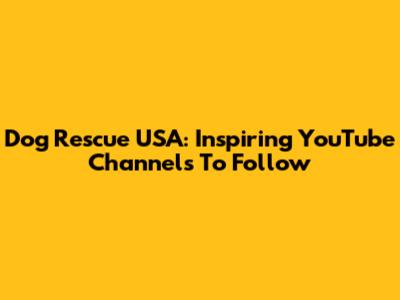 Dog Rescue USA: Inspiring YouTube Channels To Follow