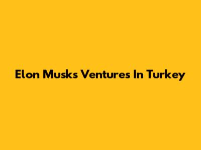 Elon Musk's Ventures In Turkey