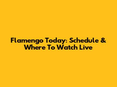 Flamengo Today: Schedule & Where To Watch Live