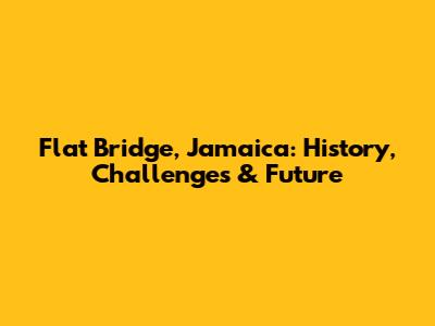 Flat Bridge, Jamaica: History, Challenges & Future