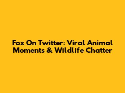 Fox On Twitter: Viral Animal Moments & Wildlife Chatter