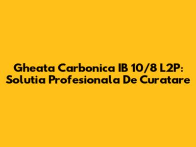 Gheata Carbonica IB 10/8 L2P: Solutia Profesionala De Curatare
