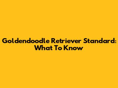 Goldendoodle Retriever Standard: What To Know