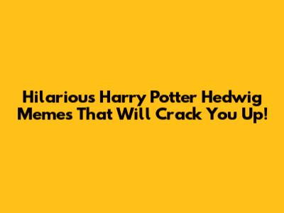 Hilarious Harry Potter Hedwig Memes That Will Crack You Up!