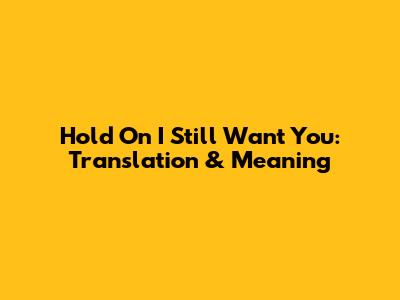 Hold On I Still Want You: Translation & Meaning