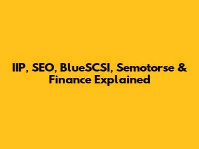 IIP, SEO, BlueSCSI, Semotorse & Finance Explained