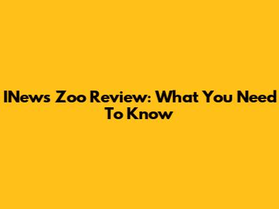 INews Zoo Review: What You Need To Know