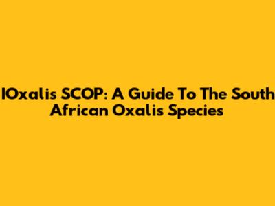 IOxalis SCOP: A Guide To The South African Oxalis Species