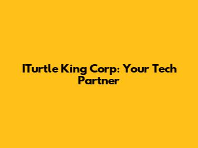 ITurtle King Corp: Your Tech Partner