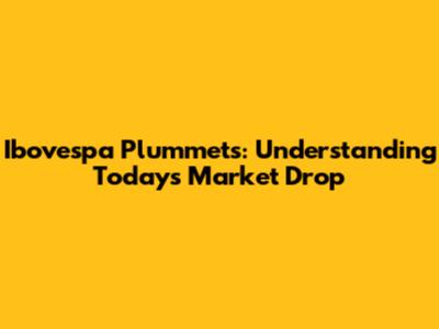 Ibovespa Plummets: Understanding Today's Market Drop