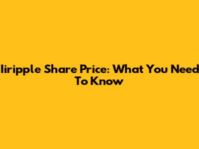 Iiripple Share Price: What You Need To Know