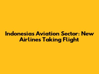 Indonesia's Aviation Sector: New Airlines Taking Flight