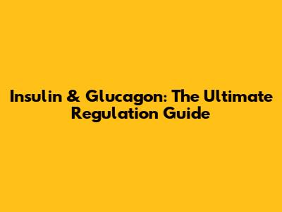 Insulin & Glucagon: The Ultimate Regulation Guide