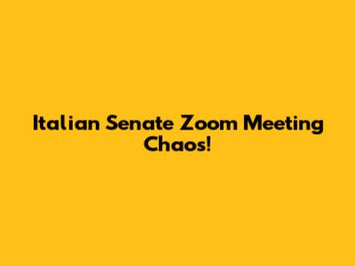 Italian Senate Zoom Meeting Chaos!