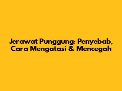 Jerawat Punggung: Penyebab, Cara Mengatasi & Mencegah