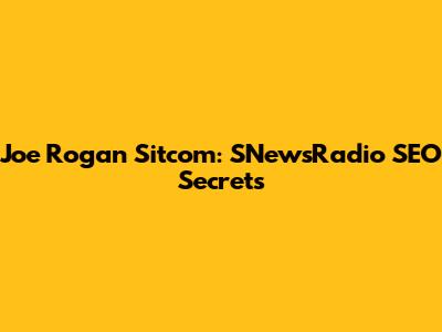 Joe Rogan Sitcom: SNewsRadio SEO Secrets