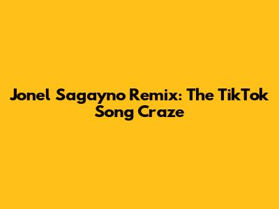 Jonel Sagayno Remix: The TikTok Song Craze