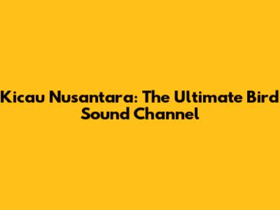 Kicau Nusantara: The Ultimate Bird Sound Channel