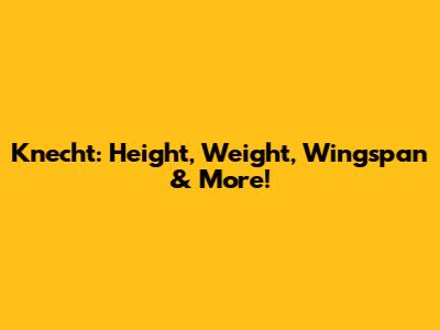 Knecht: Height, Weight, Wingspan & More!