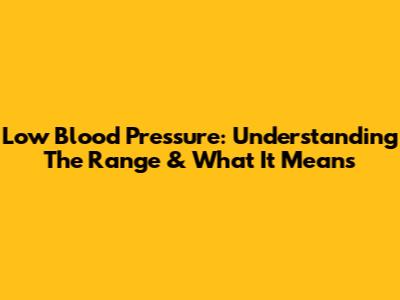 Low Blood Pressure: Understanding The Range & What It Means