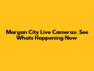 Morgan City Live Cameras: See What's Happening Now