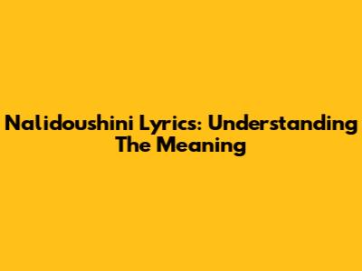 Nalidoushini Lyrics: Understanding The Meaning
