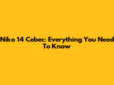 Niko 14 Cebec: Everything You Need To Know