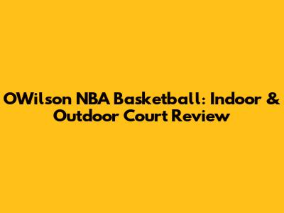 OWilson NBA Basketball: Indoor & Outdoor Court Review