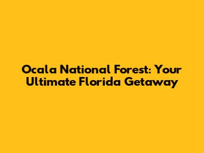 Ocala National Forest: Your Ultimate Florida Getaway