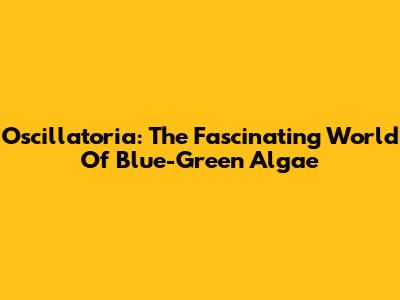 Oscillatoria: The Fascinating World Of Blue-Green Algae