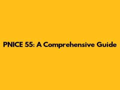 PNICE 55: A Comprehensive Guide