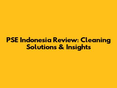 PSE Indonesia Review: Cleaning Solutions & Insights