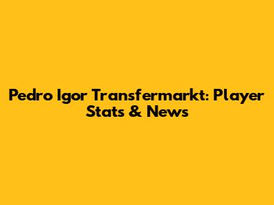 Pedro Igor Transfermarkt: Player Stats & News