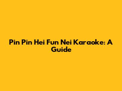 Pin Pin Hei Fun Nei Karaoke: A Guide