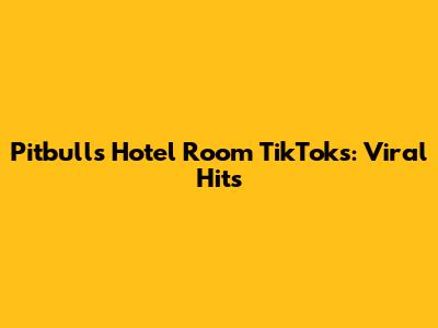 Pitbull's "Hotel Room" TikToks: Viral Hits