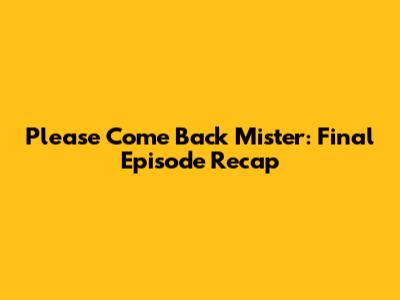 Please Come Back Mister: Final Episode Recap
