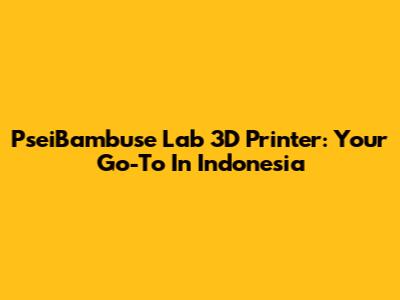 PseiBambuse Lab 3D Printer: Your Go-To In Indonesia