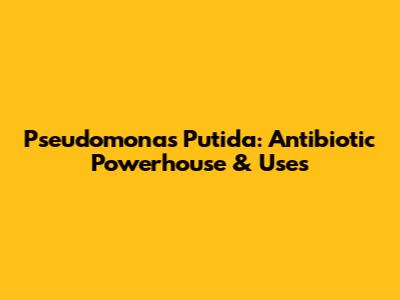 Pseudomonas Putida: Antibiotic Powerhouse & Uses