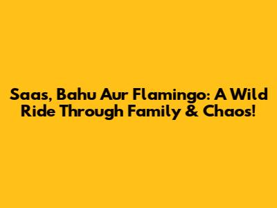 Saas, Bahu Aur Flamingo: A Wild Ride Through Family & Chaos!