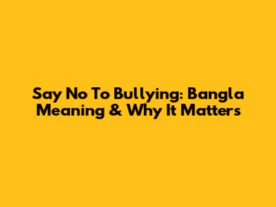 Say No To Bullying: Bangla Meaning & Why It Matters